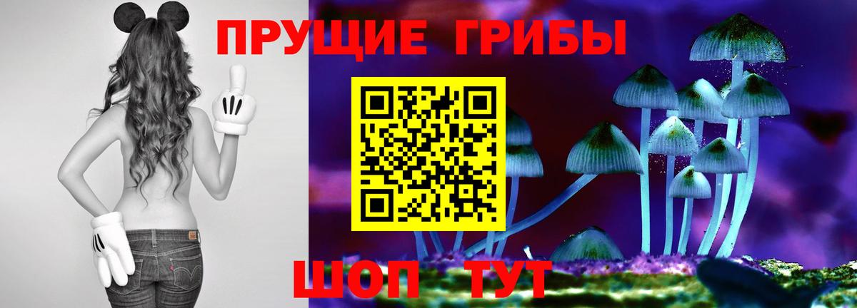Псилоцибиновые грибы GOLDEN TEACHER  Галлюциногенные грибы Psilocybine cubensis  Вход с VPN  Ртищево 